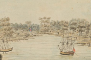 Colonial-era sailing vessels anchored in Sydney Cove waterway surrounded by native trees.