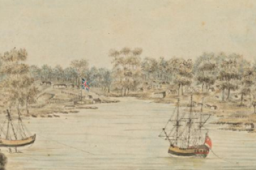 Colonial-era sailing vessels anchored in Sydney Cove waterway surrounded by native trees.