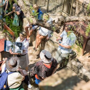 a group of people sitting at a zoo